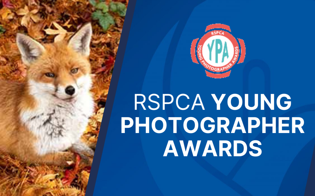 RSPCA Young Photographer Awards – closes August 2021