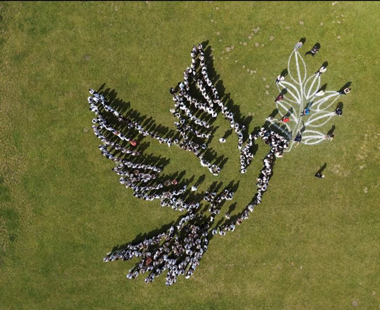 School Dove made up of pupils